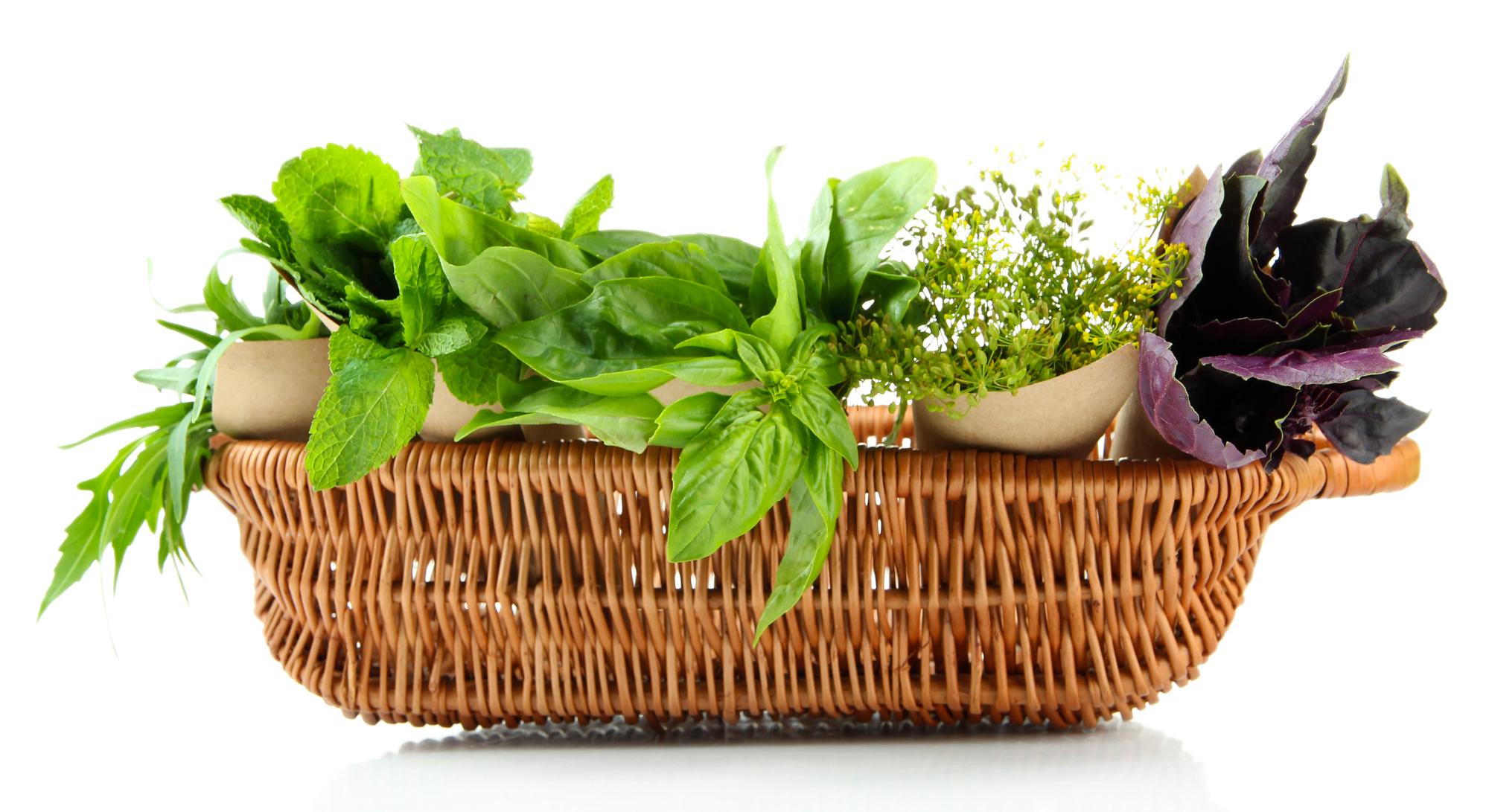 Bunch of fresh herbs in a market basket